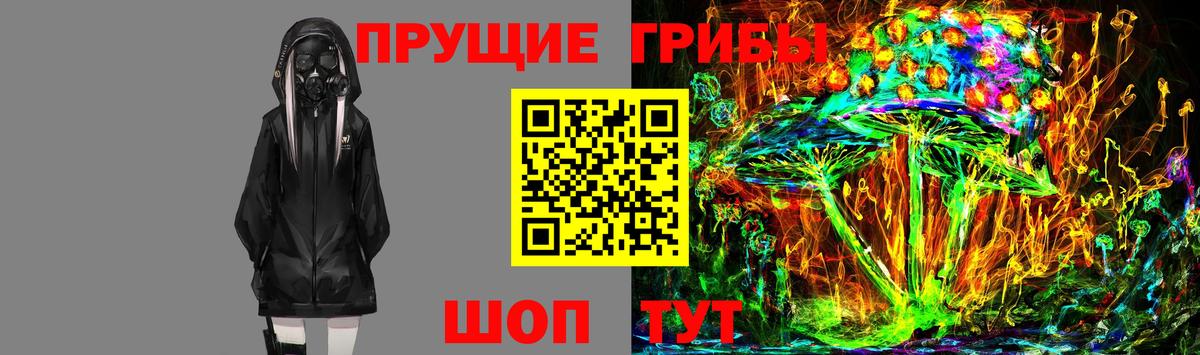 Псилоцибиновые грибы мицелий Якутск